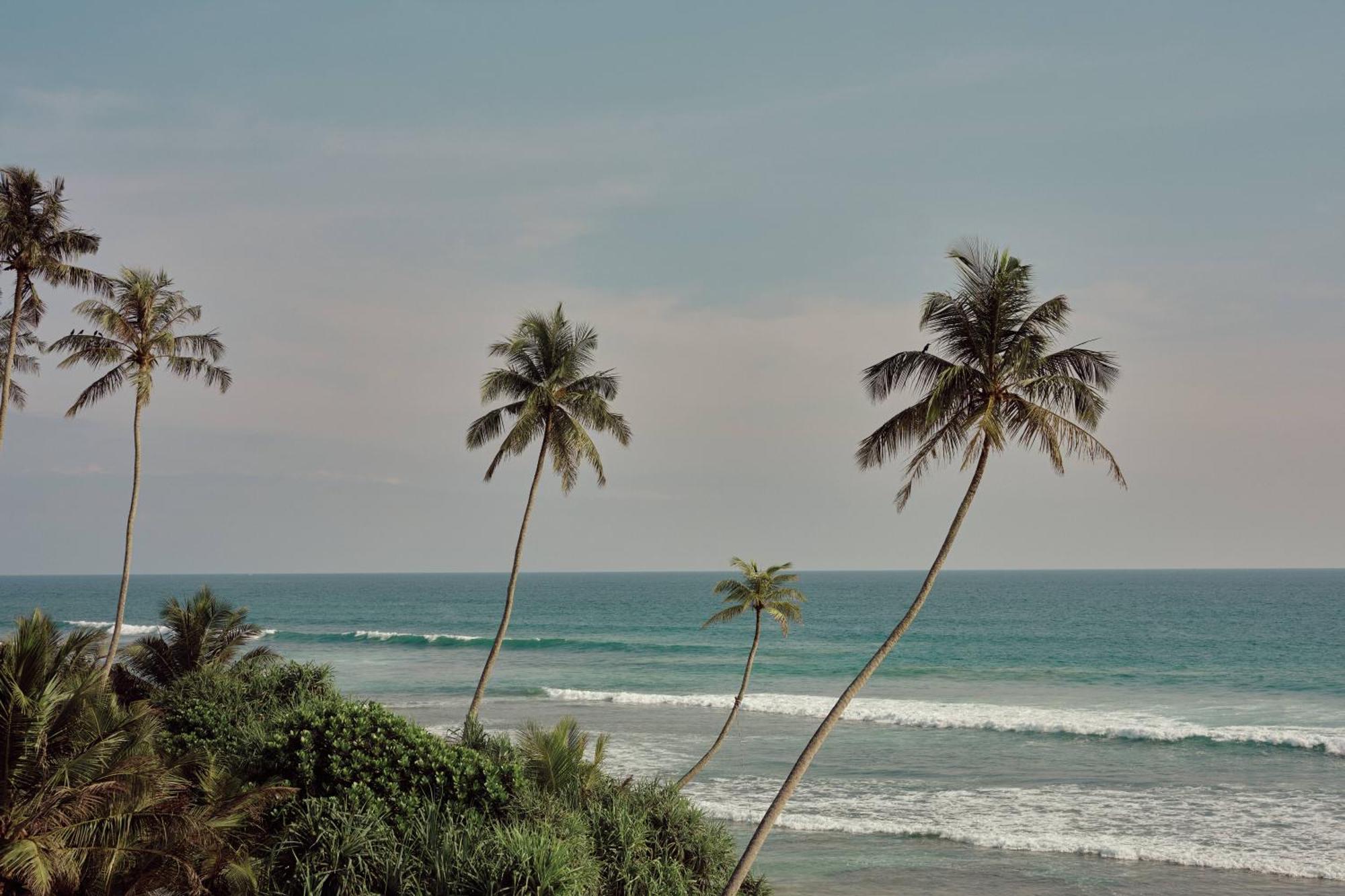 Gitano Surf Ahangama Beachfront Exterior foto